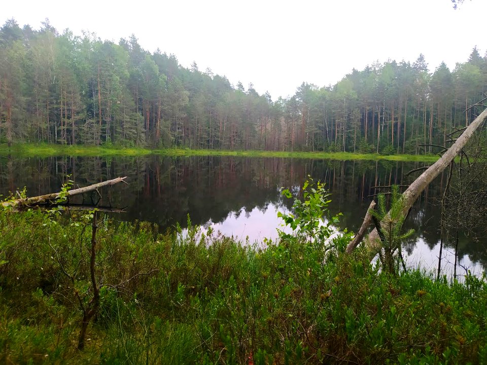 Baltasiai
