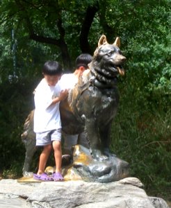 Balto with boys sunny jeh