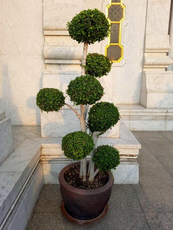 Bangkok city pillar - 2017-01-19 - 012