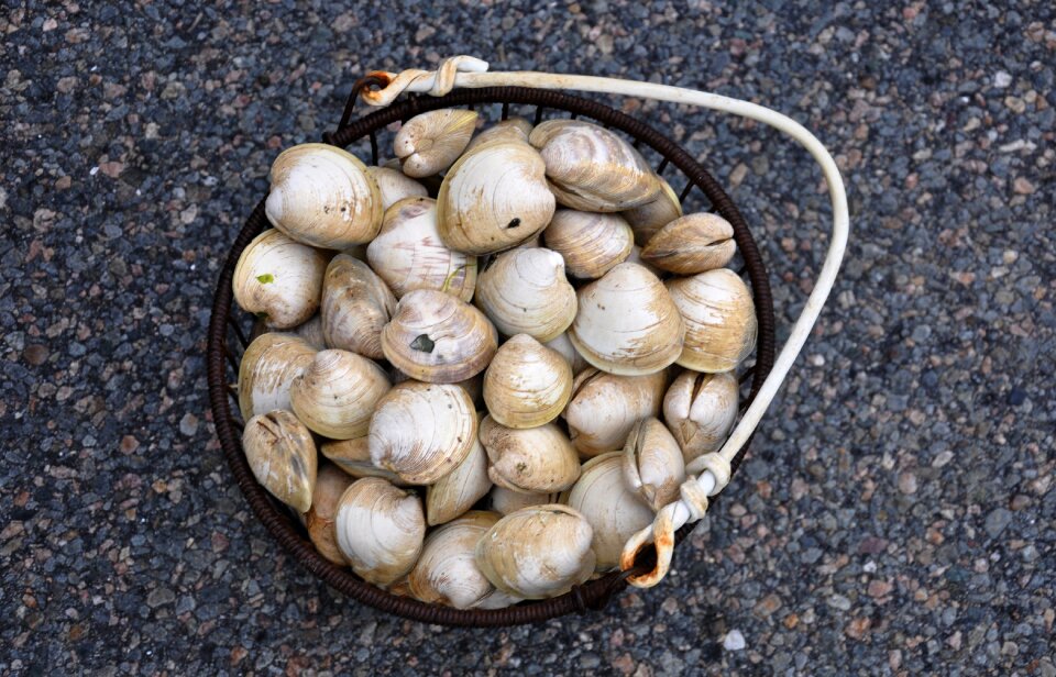 Seafood massachusetts beach