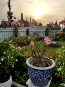 Bangkok city pillar - 2017-01-19 - 015