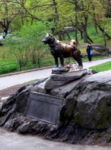 Balto rock jeh