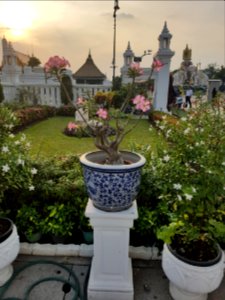 Bangkok city pillar - 2017-01-19 - 016