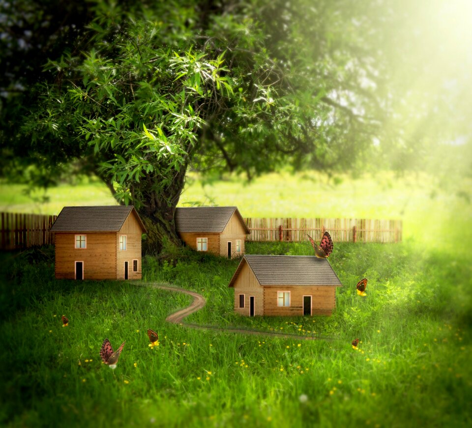 Rural elves butterflies
