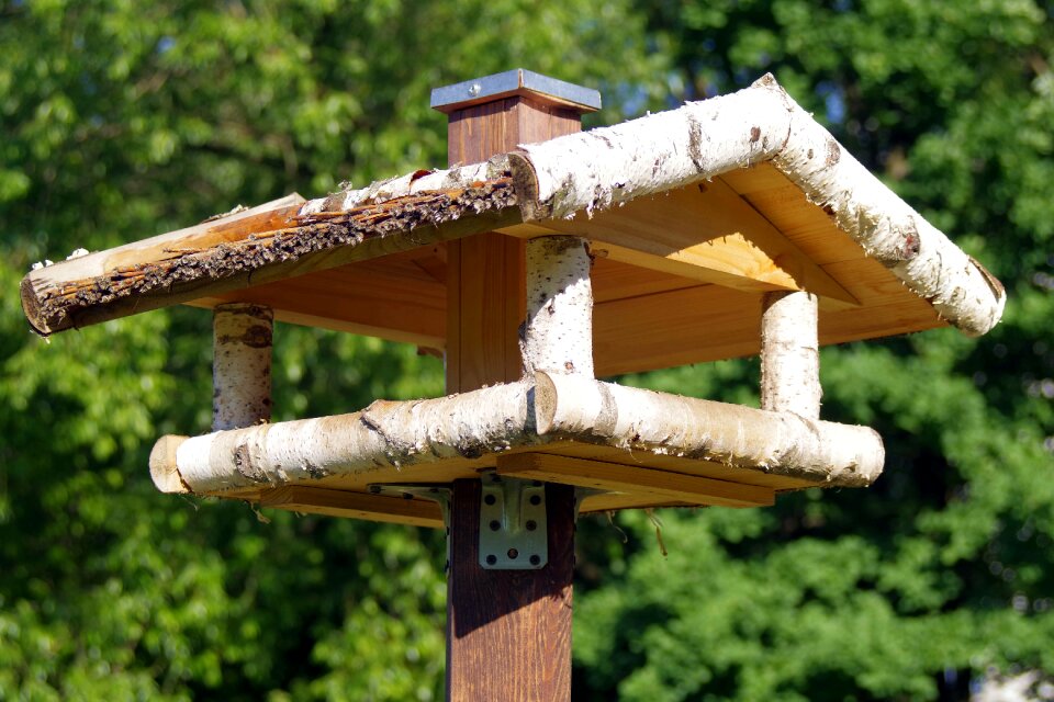 Birds feeding ornament