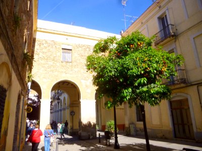 Barcelona - Distrito de Sant Andreu, Barrio de La Sagrera, Plaça de Masadas 6