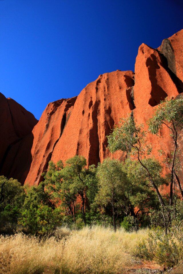 Landscape desert australia
