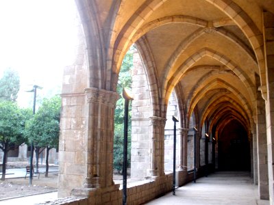 Barcelona - Claustro del antiguo Hospital de la Santa Creu (Plaza del Canónigo Colom) 2