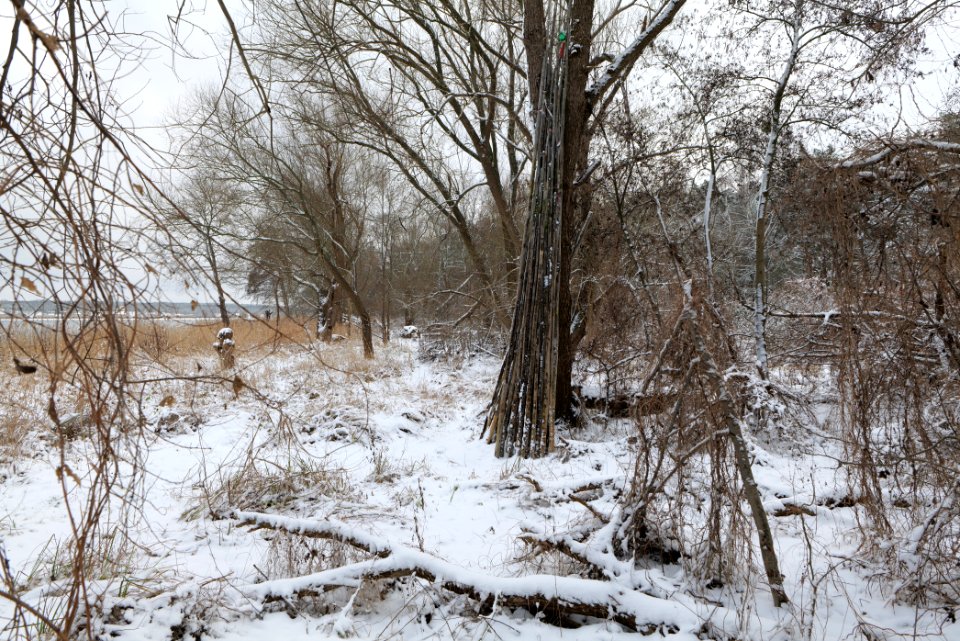 Bank of Wannsee at Düppeler Forst with snow 2021-01-30 19