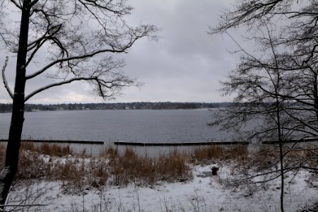 Bank of Wannsee at Düppeler Forst with snow 2021-01-30 12