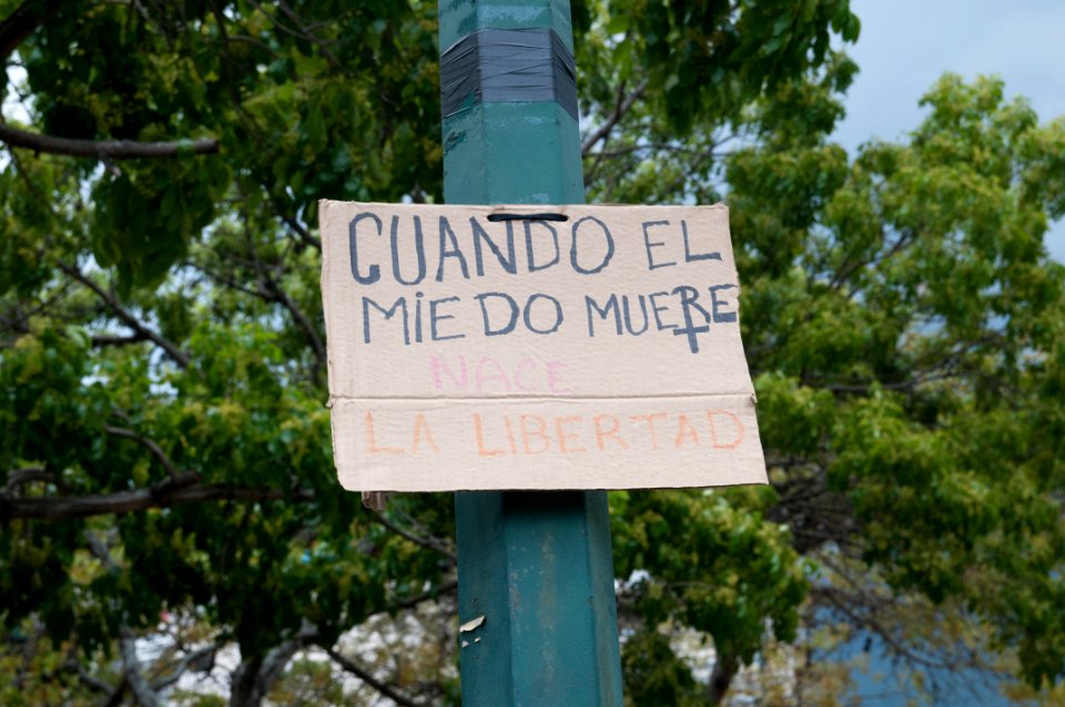 Banner at demonstrations and protests against Chavismo and Nicolas Maduro government 14