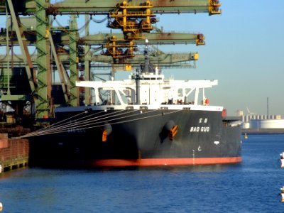 Bao Guo IMO 9336969, Port of Rotterdam, Holland, 06JAN2009 pic6
