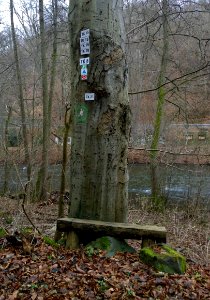 Bank Wanderweg Treseburg