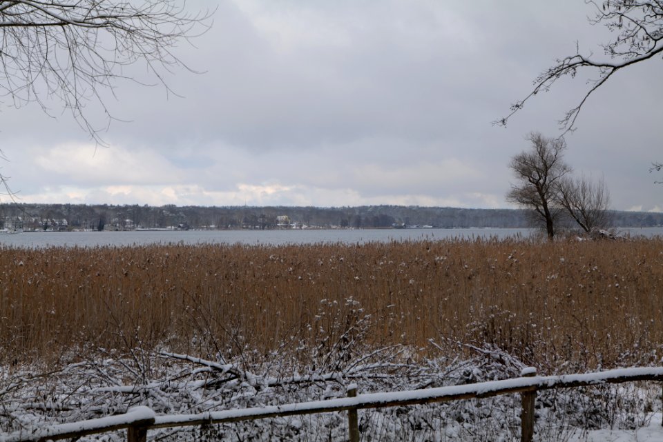 Bank of Wannsee at Düppeler Forst with snow 2021-01-30 16