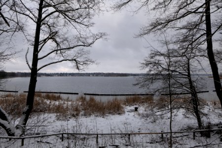 Bank of Wannsee at Düppeler Forst with snow 2021-01-30 11