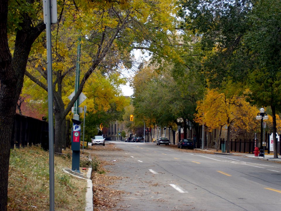 Bannatyne Avenue in Winnipeg's east Exchange District in Fall, 2012