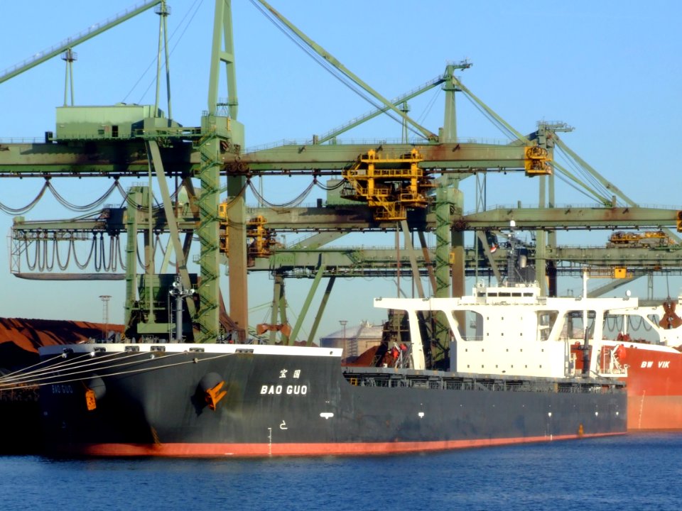 Bao Guo IMO 9336969, Port of Rotterdam, Holland, 06JAN2009 pic4