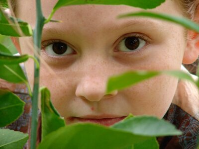 Leaf green brown eyes