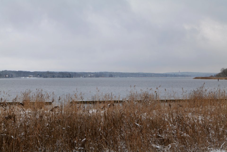 Bank of Wannsee at Düppeler Forst with snow 2021-01-30 09