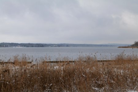 Bank of Wannsee at Düppeler Forst with snow 2021-01-30 09