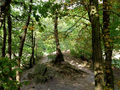 Bank of Rurtalsperre from Eschauel to dam 18