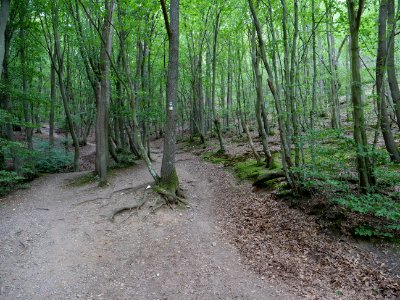 Bank of Rurtalsperre from Eschauel to dam 07