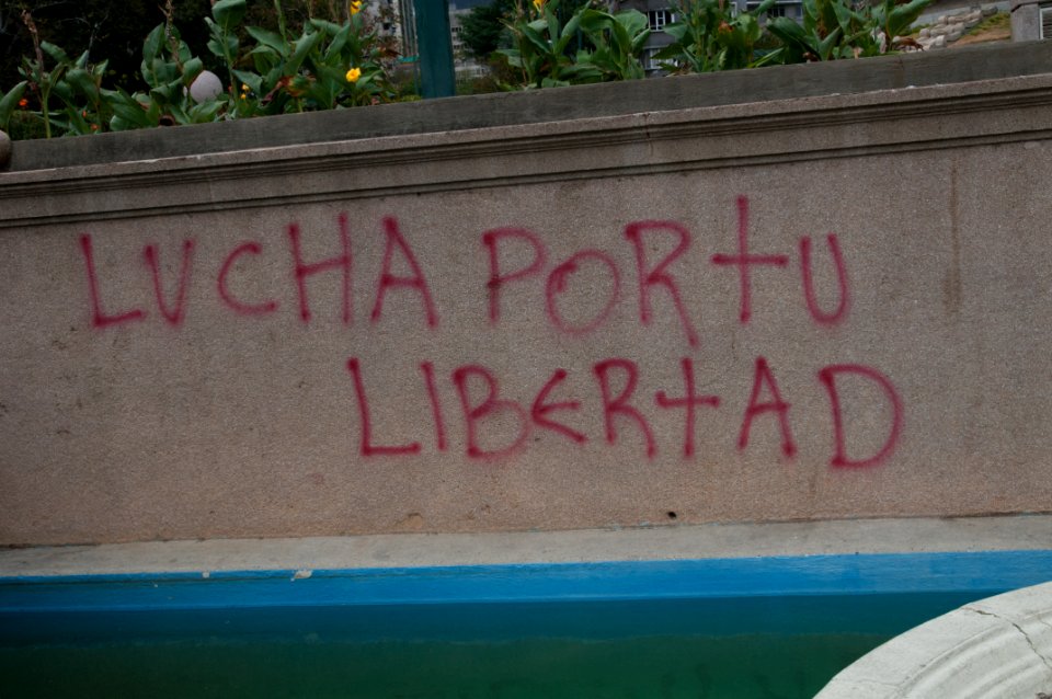 Banner at demonstrations and protests against Chavismo and Nicolas Maduro government 13