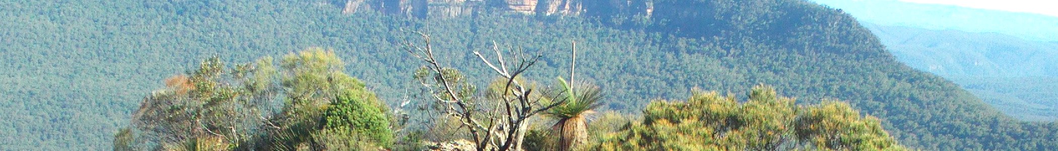 Bannerbluemountains