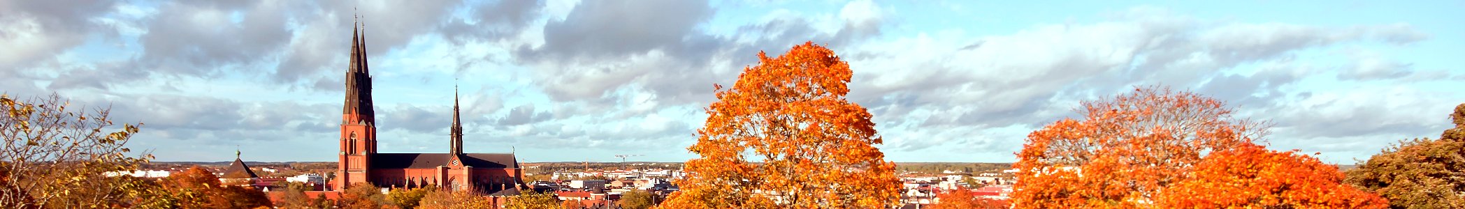 Banner Uppsala Cathedral during fall
