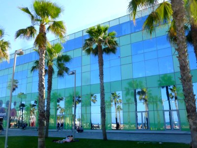 Barcelona - Desigual Store Barceloneta Beach 01