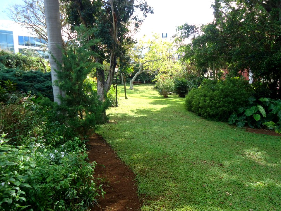 Bermuda (UK) image number 272
