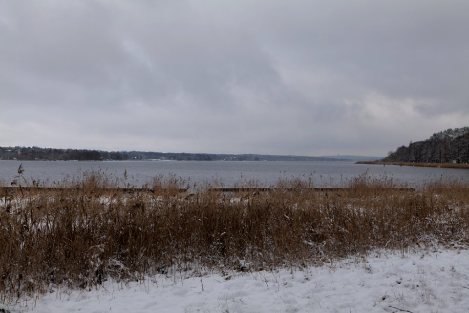 Bank of Wannsee at Düppeler Forst with snow 2021-01-30 08