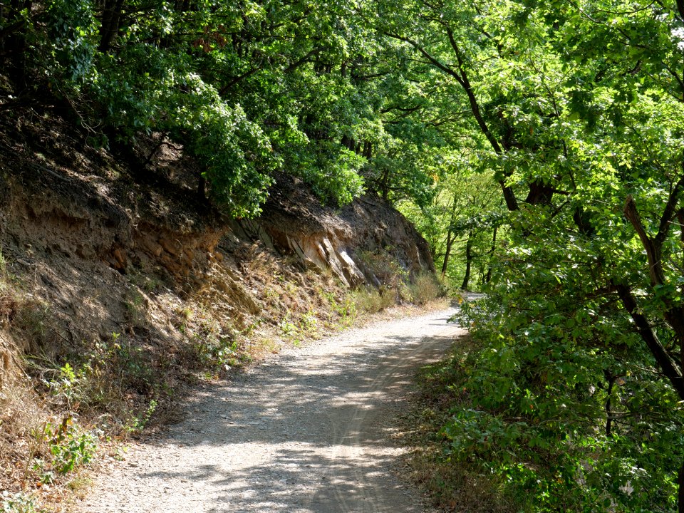 Bank of Rurtalsperre from Eschauel to dam 13