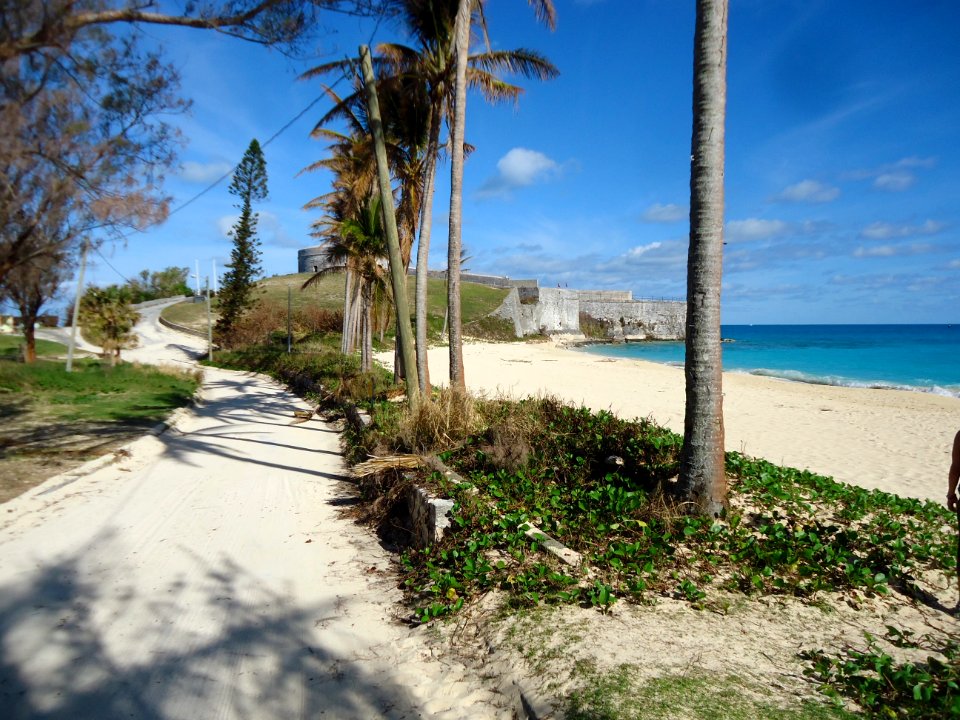Bermuda (UK) image number 134 shoreline and beach