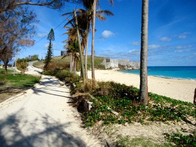 Bermuda (UK) image number 134 shoreline and beach photo