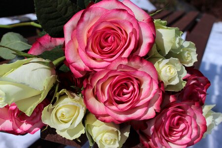 Bouquet wedding valentine's day