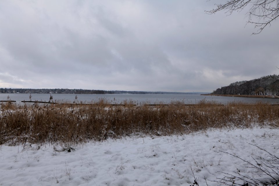 Bank of Wannsee at Düppeler Forst with snow 2021-01-30 07