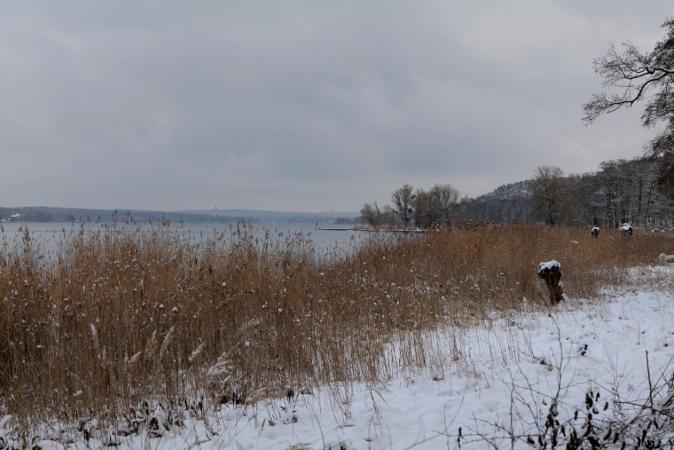 Bank of Wannsee at Düppeler Forst with snow 2021-01-30 01