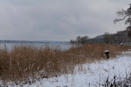 Bank of Wannsee at Düppeler Forst with snow 2021-01-30 01