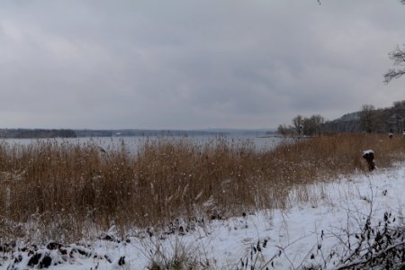Bank of Wannsee at Düppeler Forst with snow 2021-01-30 02