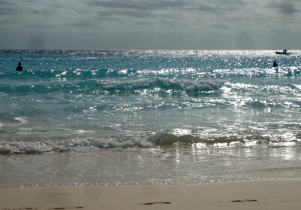 Bermuda (UK) image number 228 fish predation beneath surface at Horseshoe Bay beach
