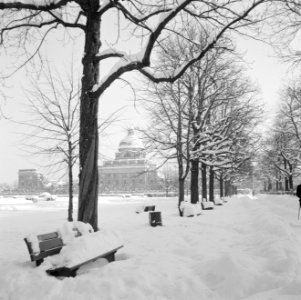Bankje in de besneeuwde Hofgarten met op de achtergrond de Bayerische Staatskan…, Bestanddeelnr 254-3755 photo