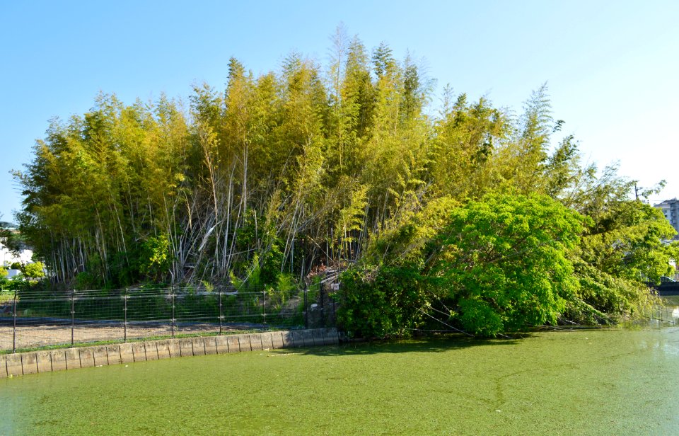 Ban-yama Kofun, zenkei