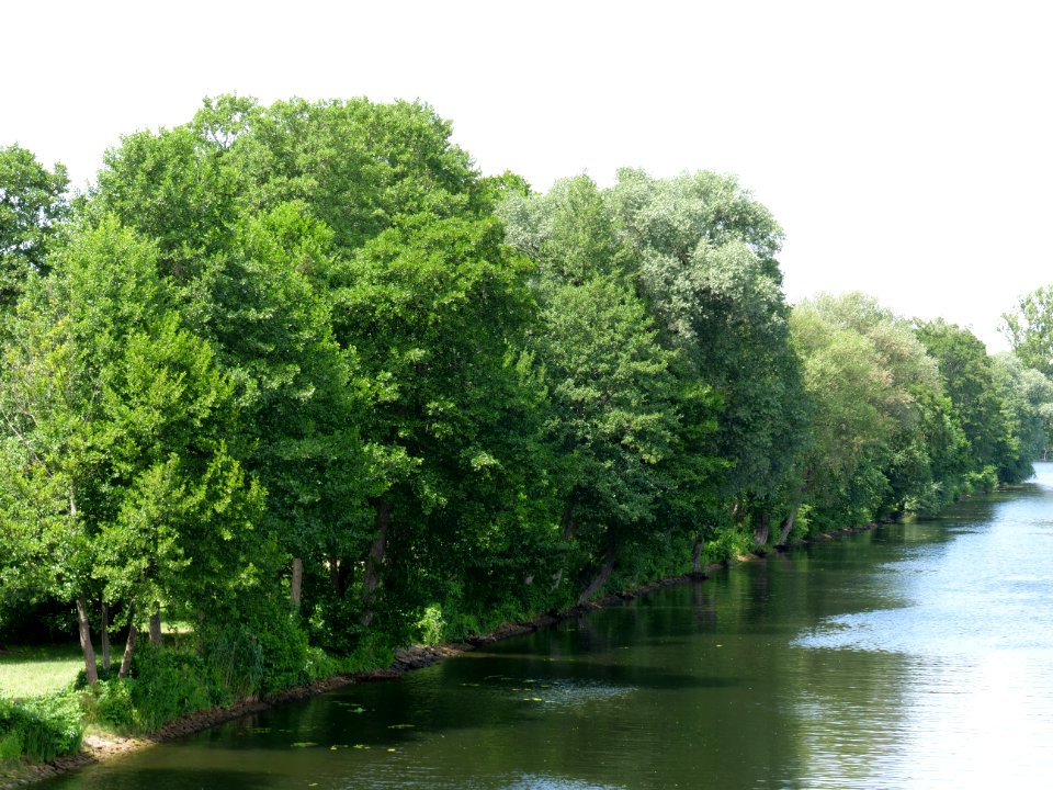 Berlin-Spandauer-Schifffahrtskanal 2019-07-04 06
