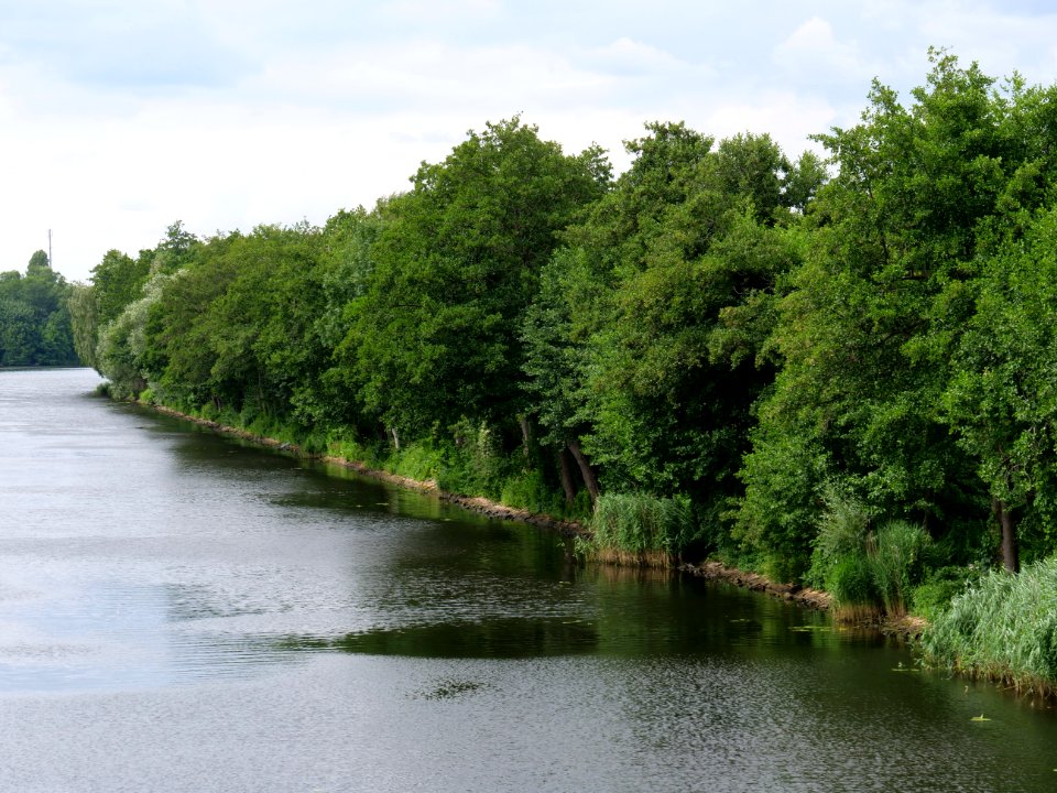 Berlin-Spandauer-Schifffahrtskanal 2019-07-03 09