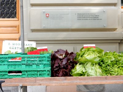 Bern Covid-19 im öffentlichen Raum 28
