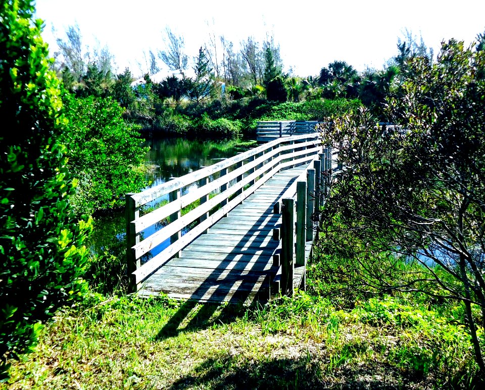 Bermuda (UK) image number 120 walkway at Coopers Island Nature Preserve