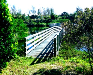 Bermuda (UK) image number 120 walkway at Coopers Island Nature Preserve