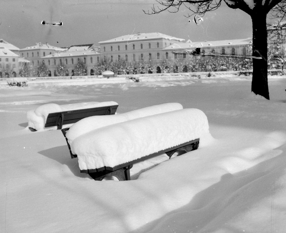 Bankje in de besneeuwde Hofgarten met op de achtergrond het Residenz Paleis, Bestanddeelnr 254-3756