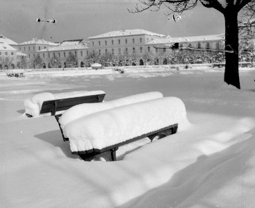 Bankje in de besneeuwde Hofgarten met op de achtergrond het Residenz Paleis, Bestanddeelnr 254-3756